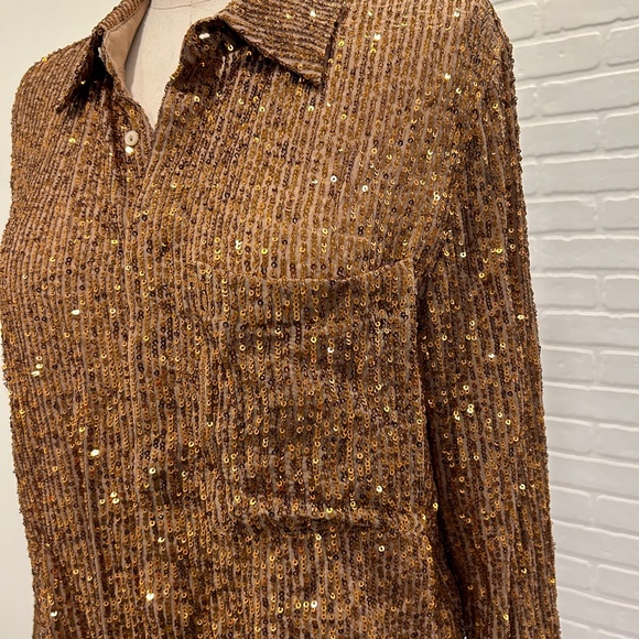 ZARA Copper Sequin Blouse - Picture 5 of 7